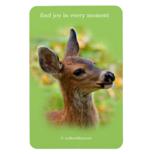 Vignetted Porträtt of Smiling Blacktail Hjort Fawn Magnet