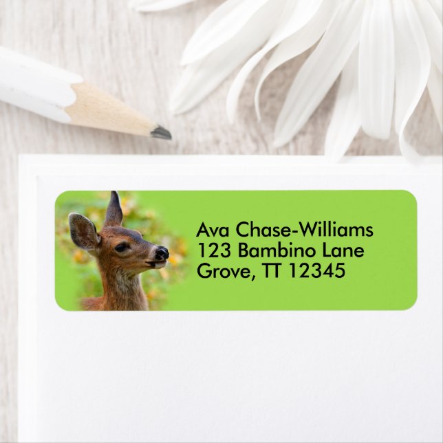 Vignetted Porträtt of Smiling Blacktail Hjort Fawn Returadress Etikett (Insitu)