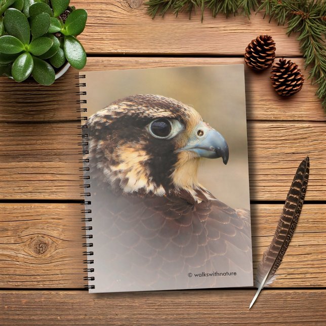 Vignetted Profile of a Peregrine Falcon Anteckningsbok (Vignetted Profile of a Peregrine Falcon Journal Cover Photo)