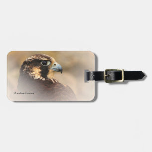 Vignetted Profile of a Peregrine Falcon Bagagebricka