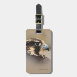Vignetted Profile of a Peregrine Falcon Bagagebricka