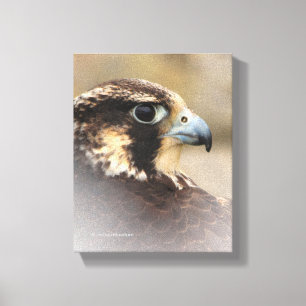 Vignetted Profile of a Peregrine Falcon Canvastryck