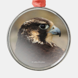Vignetted Profile of a Peregrine Falcon Julgransprydnad Metall
