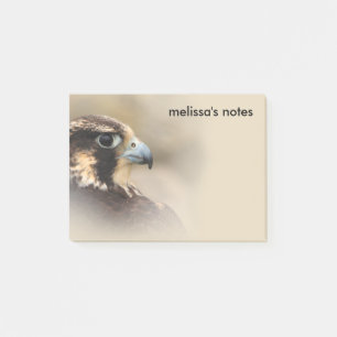 Vignetted Profile of a Peregrine Falcon Post-it Block