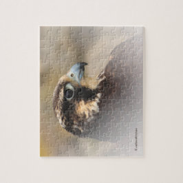 Vignetted Profile of a Peregrine Falcon Pussel