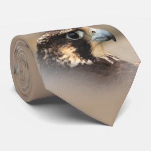 Vignetted Profile of a Peregrine Falcon Slips