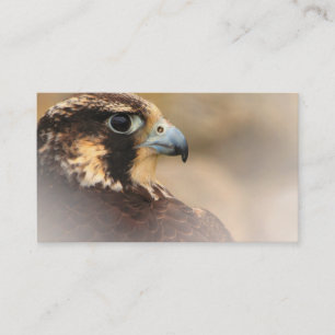 Vignetted Profile of a Peregrine Falcon Visitkort