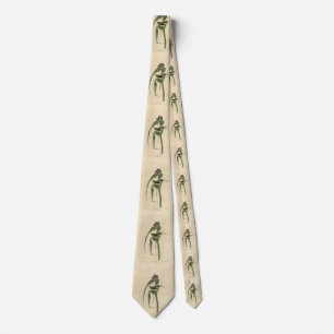Vigors Vireo (Gräs Warbler) Audubon Birds America Slips