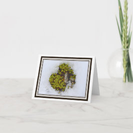 Vikbart vykort – Alpin gräs, Österrike