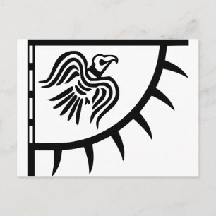Viking Black Raven Banner Vykort
