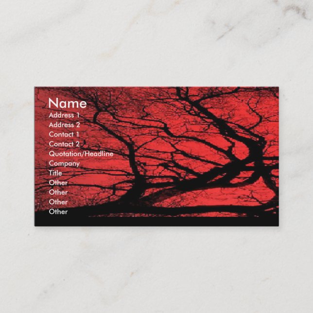 Viking himmelvisitkort visitkort (Framsida)