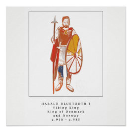 Viking Kung Harald Bluetooth Perfect Poster