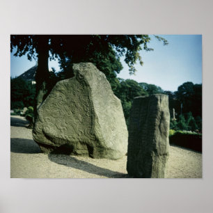 Viking Rune-sten Poster