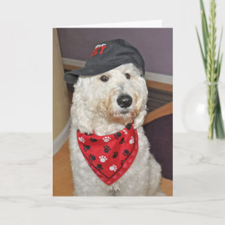 Viklad gratulationskort kort