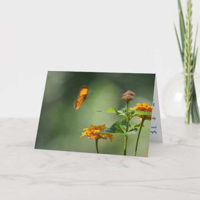 Viklad gratulationskort kort (Framsida)