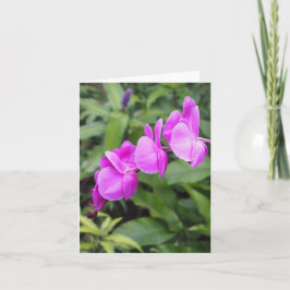 Vikt hälsningskort för Bright Rosa Hawaii Flowers Kort