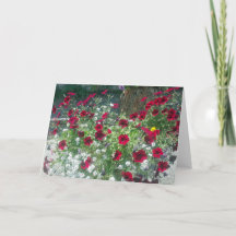 Vikt kort med Alpine Petunias