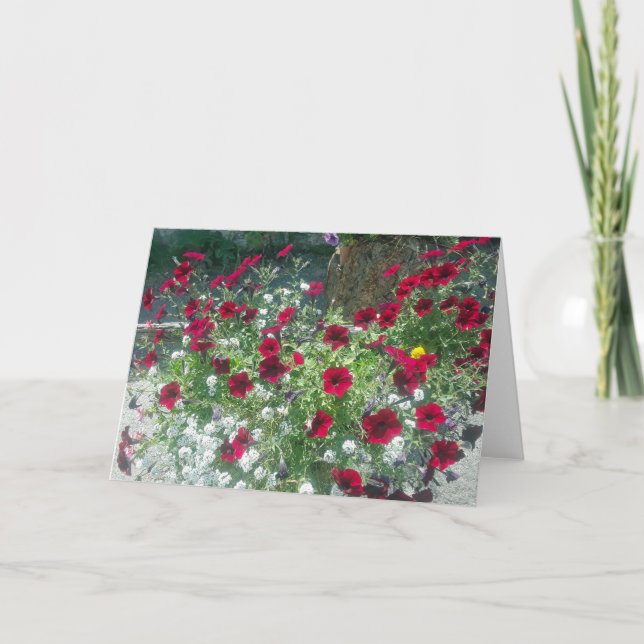 Vikt kort med Alpine Petunias (Framsida)