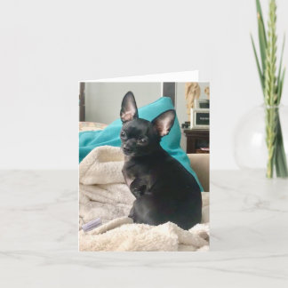 vikt notecard tack kort