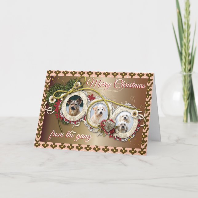 Vikta julkort för Hund älskare Kort (Framsida)