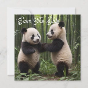 Viktiga frågor: Baby Pandas spelar i skogen Spara Datumet