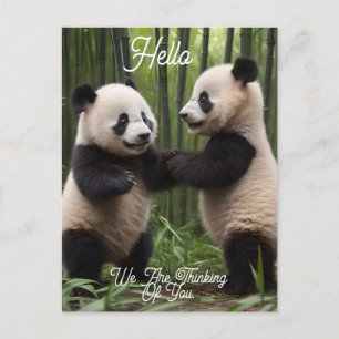 Viktiga frågor: Baby Pandas spelar i skogen Vykort