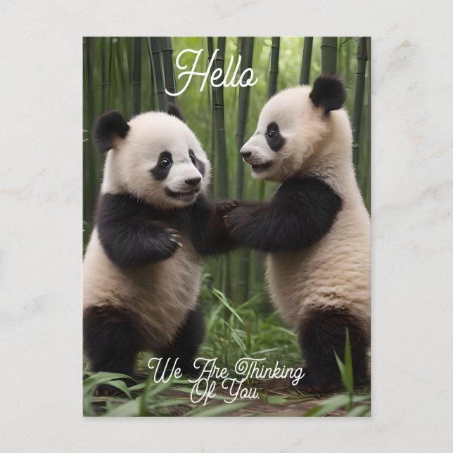 Viktiga frågor: Baby Pandas spelar i skogen Vykort (Framsida)