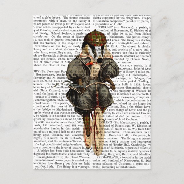 Viktigare på Vintage Bicycle Vykort (Framsida)