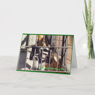 Viktighetskort för Pub Kort