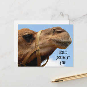 Viktigt "Här Tittar på dig" Camel Hälsning Vykort