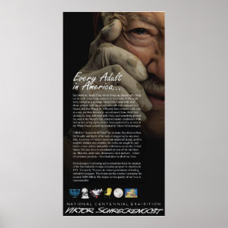 Viktor Schaudengost General Overview Poster