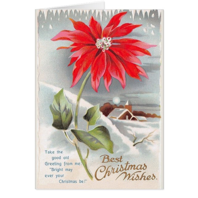 Viktorian Poinsettia julhälsningskort Hälsningskort (Framsidan)