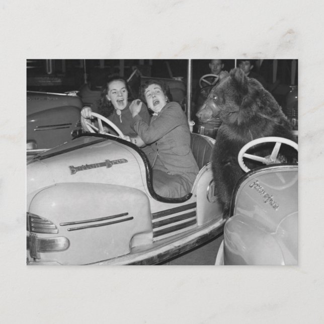 Viktoriansk Konstig a Bear Riding Bumper Cars Vykort (Framsida)