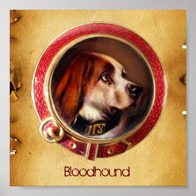 VIKTORIANSKA MINITATUR HUND PORTRAIT Bloodhound Poster (Framsidan)