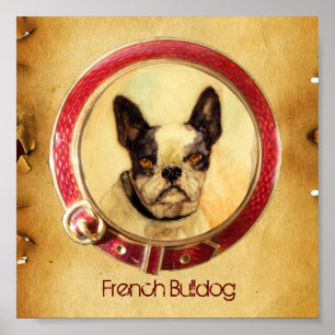 VIKTORIANSKA MINITURPORTRÄTT AV HUND Fransk Bulldo Poster
