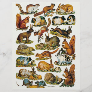 Viktoriska små djurtarmsdelar