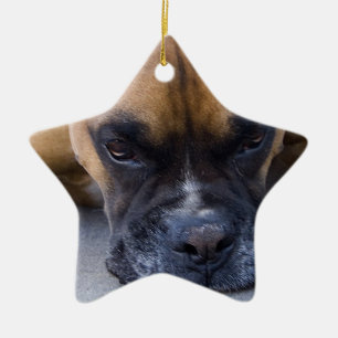 Vila boxarehundprydnaden julgransprydnad keramik