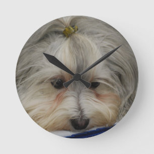 Vila den Havanese hunden Rund Klocka