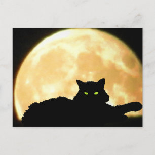 Vila den svart katten och fullmånen vykort