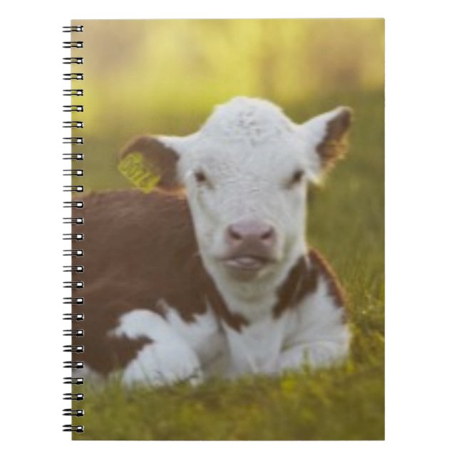 Vila för kalv anteckningsbok (Framsidan)