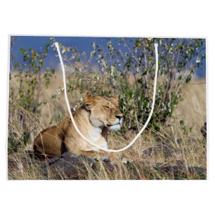 Vila för Lioness