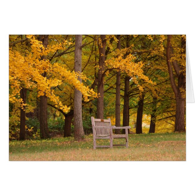 Vila för tid hälsningskort (Framsidan Horizontal)