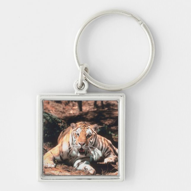 Vila för tiger fyrkantig silverfärgad nyckelring (Framsidan)