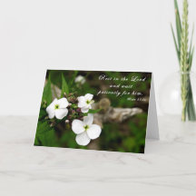 "Vila i herren" - Skriptkort