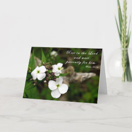 "Vila i herren" - Skriptkort Kort