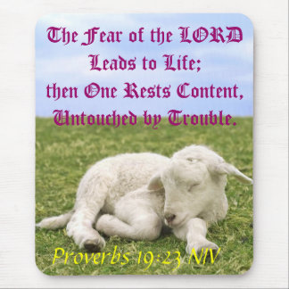 Vila innehåll. II Musmatta