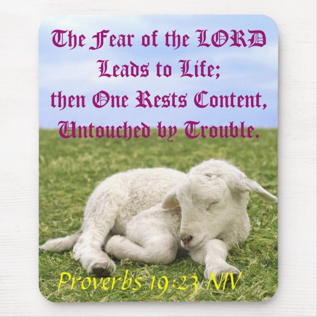 Vila innehåll. II Musmatta (Framsidan)