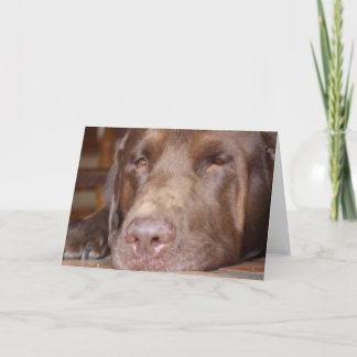 Vila och få väl kort