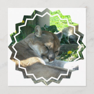 Vila pumainbjudan inbjudningar