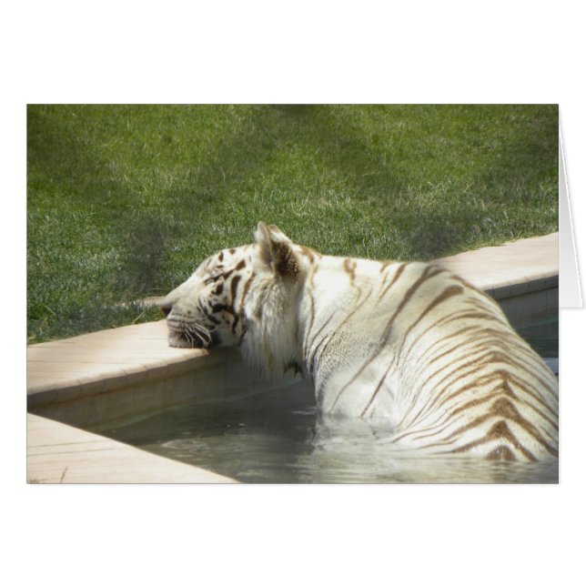 Vila tigerkortet hälsningskort (Framsidan Horizontal)